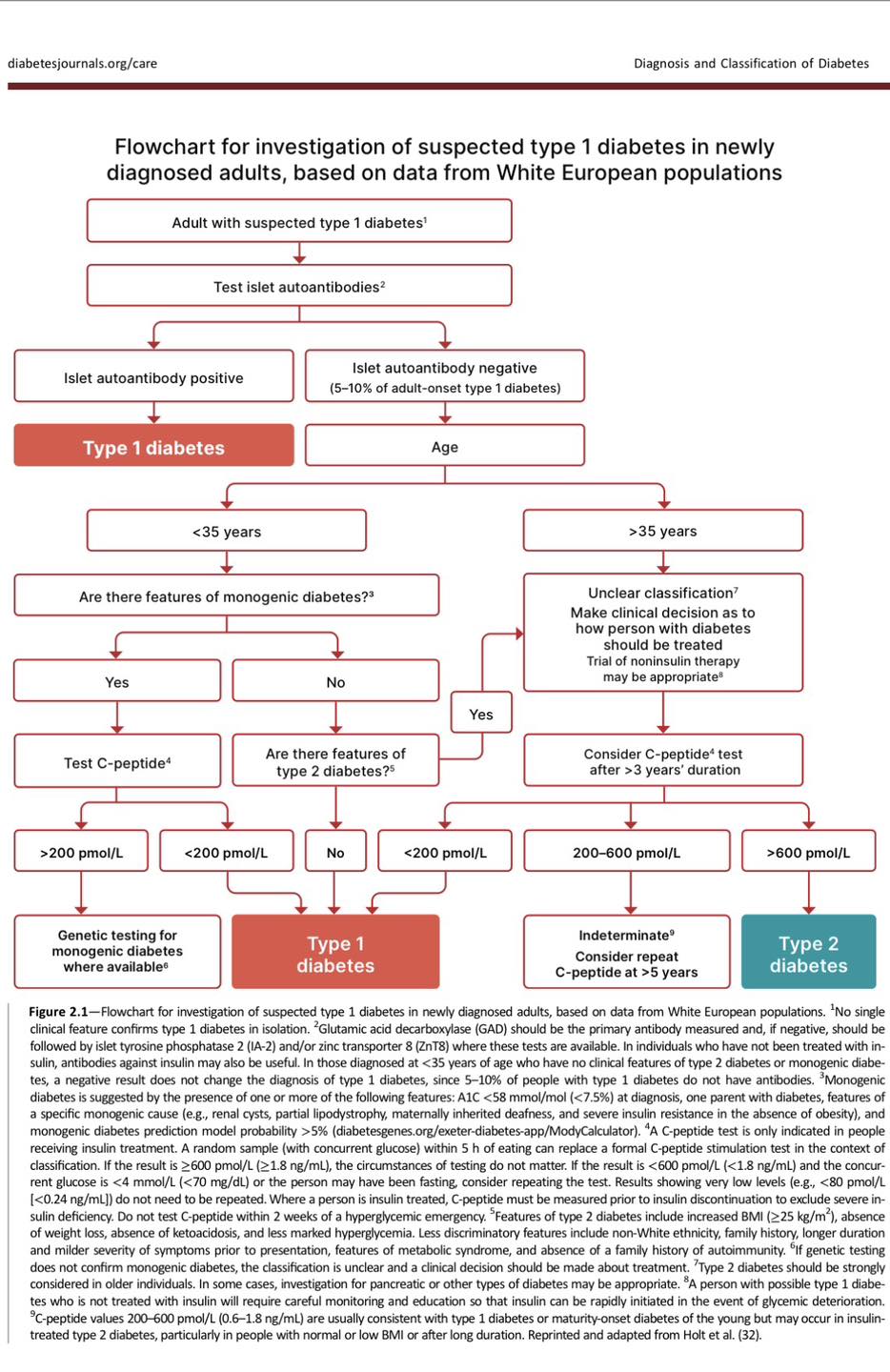 Flow chart สำหรับรายที่สงสัยเบาหวานชนิดที่1 ในผู้ใหญ่ Diabetes care 2026 